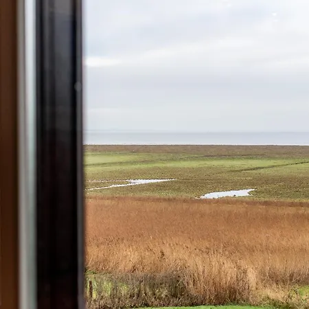 Wattblick 2